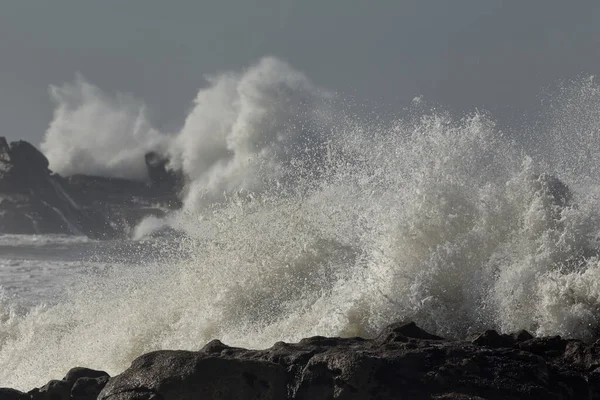 Grande Vague Mer Éclaboussure Gros Plan — Photo