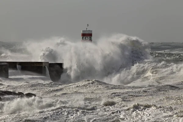 포르투갈 포르투 강하구 폭풍우치는 — 스톡 사진