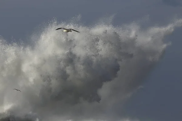 Big ocean stormy wave splash closeup