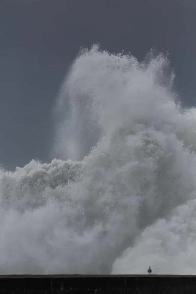 Riesige Welle Schwappt Über Pier Porto Portugal — Stockfoto