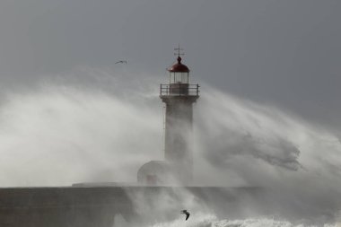 Douro Nehri 'nin ağzında fırtınalı bir günde eski deniz fenerinin dalgaların sıçramasından gelen nem ve spreyle çevrili olduğunu gördüm.