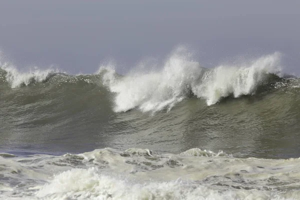 Grande Vague Verte Contre Ciel Bleu — Photo