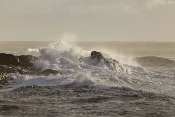 Sea Rocks Flooded Strong Wave — Stock Photo, Image