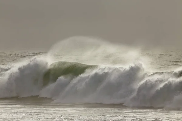 Breaking Sea Wave Mit Windspray — Stockfoto