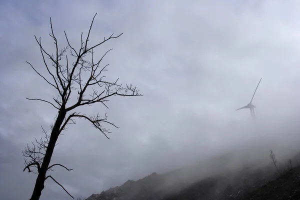 Egy Hegy Tetején Felhők Közepén Csupasz Fát Szélgenerátort Látva — Stock Fotó