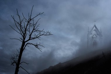 Korku ve karanlık hakkında esrarengiz bir manzara bir bar ağacı ve eski Avrupa mezarlığı mezarı ve çıplak bir ağaç görmek.
