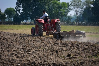 Tikamgarh, Madhya Pradesh, Hindistan - 10 Kasım 2019: Traktörlü Hintli çiftçi harrow ekimi için arazi hazırlıyor.
