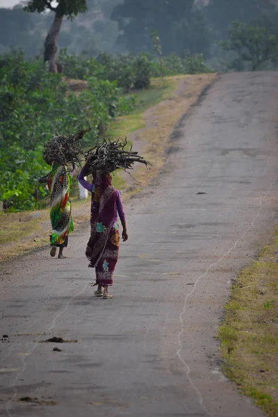 indian women carrying wood branchs on their heads. Indian girl carrying wood on head at the road, An Indian rural scene.