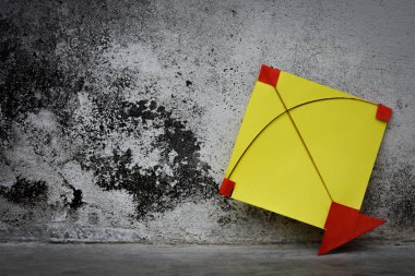 Sarı kağıt uçurtma, Makar sankranti festivali konsepti