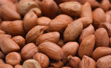 Arka planda soyulmamış ham kırmızı fıstıklar