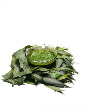 Tıbbi ayurvedic azadirachta indica veya Neem yaprakları beyaz arkaplanda izole edilmiş neem macunu ile