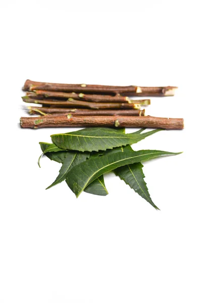 Medicinal Neem Leaves Twigs Isolated White Background — 스톡 사진