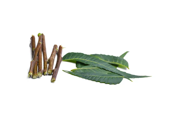 Medicinal Neem Leaves Twigs Isolated White Background — 스톡 사진