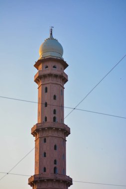 Taj-ül-Masajid, Hindistan 'ın Madhya Pradesh eyaletinde yer alan bir camidir. Asya 'nın en büyük camilerinden biri.