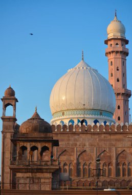 Taj-ül-Masajid, Hindistan 'ın Madhya Pradesh eyaletinde yer alan bir camidir. Asya 'nın en büyük camilerinden biri.