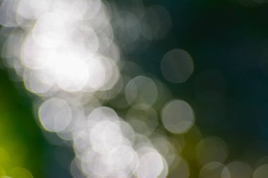 Nature background of sunlight bokeh in morning