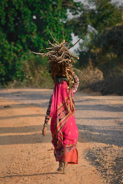 Indian woman carrying wood on head at the road, An Indian rural scene.