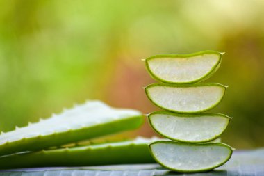Taze Aloe vera doğal arka planda dilimler. Aloe Vera cilt bakımı ve saç bakımı için çok faydalı bir bitkisel ilaçtır..