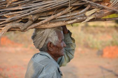 TIKAMGARH, MADHYA PRADESH, Hindistan - 24 Mart 2020: Kimliği belirsiz kırsal kesimde yol üzerinde yakacak odun taşıyan adam.