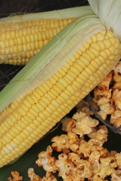 Popcorn au beurre et épi de maïs frais — Photo