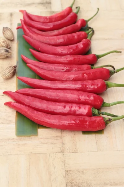 Fresh red hot chilli on wood background — Stock Photo, Image