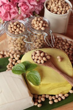 Tofu yemek ve soya tohumu için