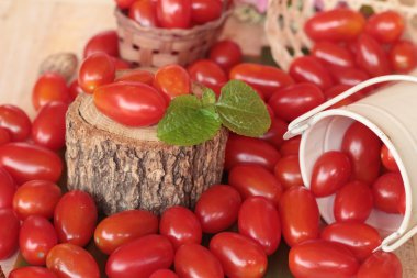 Armut kiraz domates mi organik sağlıklı gıda