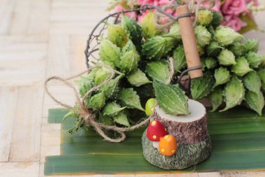 Acı kavun ve dilimlenmiş üzerinde ahşap arka plan