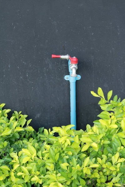 The faucet in the garden — Stock Photo, Image