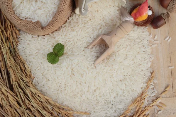 Jasmine rice and rice grains for the harvest. — Stock Photo, Image