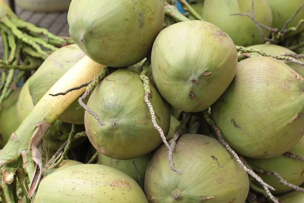 Taze hindistan cevizi bir grup olduğunu.