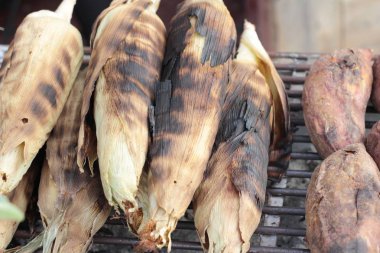 Tatlı mısır koçanı lezzetli ızgara.