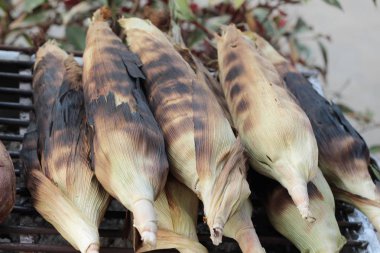 Tatlı mısır koçanı lezzetli ızgara.