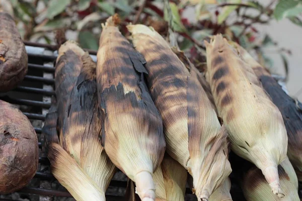 Tatlı mısır koçanı lezzetli ızgara.