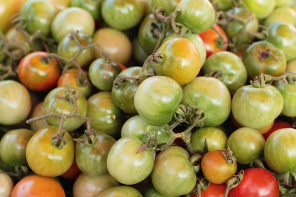 Świeże pomidory na rynku. — Zdjęcie stockowe