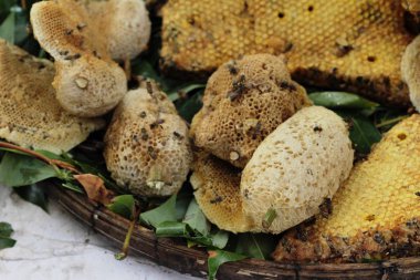 Bal piyasasında altın petek