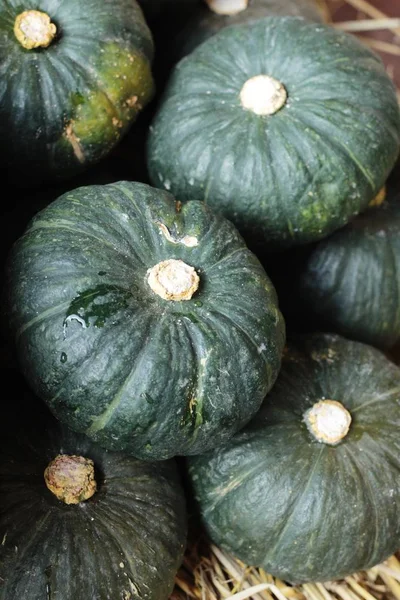 Citrouille fraîche sur un tas de paille — Photo