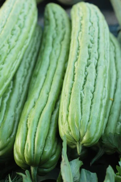 Bitter kalebas groen in de markt. — Stockfoto