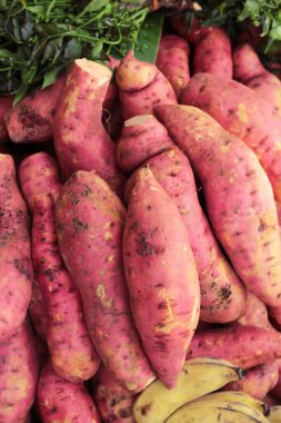 Piyasada taze yer elması