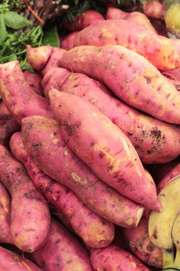 Piyasada taze yer elması.