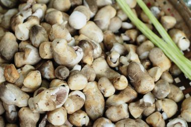 Pazarda taze mantarlar.