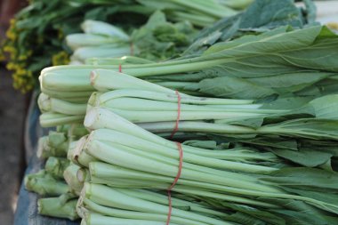 Chiness lahana içinde belgili tanımlık çarşı.