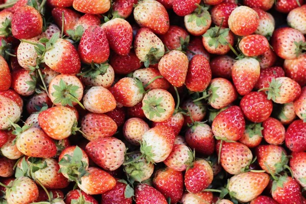 Strawberry färska stapla en hel del läckra. — Stockfoto