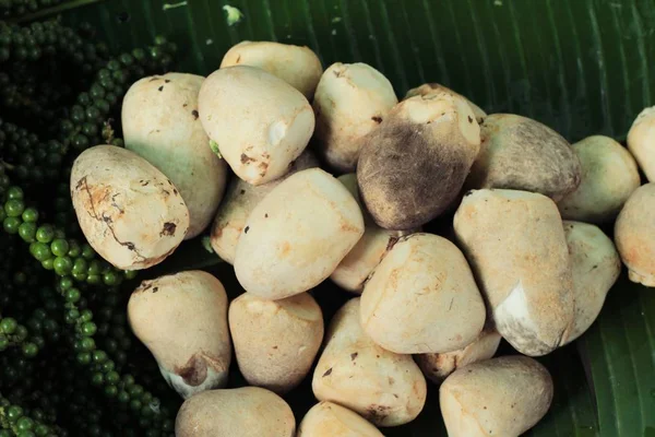 Funghi freschi sul mercato. — Foto Stock