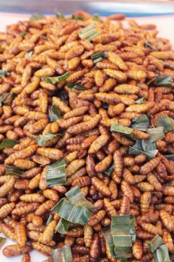 Kızarmış böcekler lezzetli içinde belgili tanımlık çarşı.