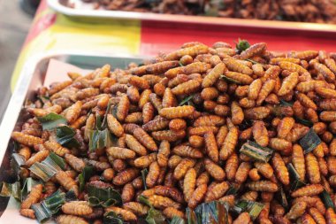 Kızarmış böcekler lezzetli içinde belgili tanımlık çarşı.