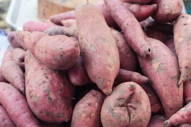 Piyasada taze yer elması.