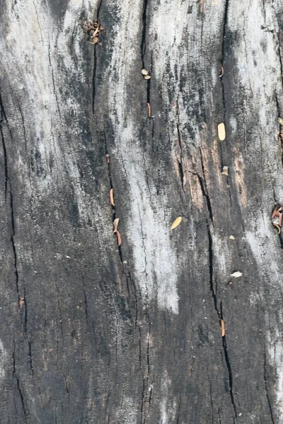 Старинный стиль деревянного фона — стоковое фото