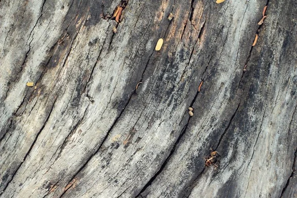 古い木材の背景ビンテージ スタイル — ストック写真