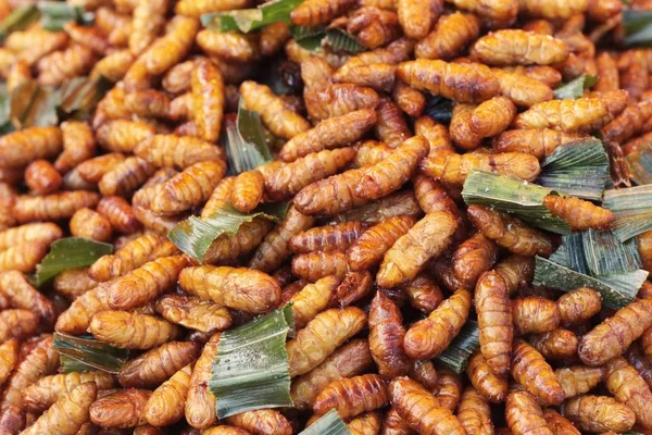 Insetos fritos é delicioso no mercado . — Fotografia de Stock